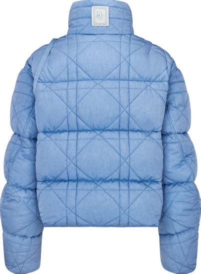 dior erl puffer|dior puffer coat men's.